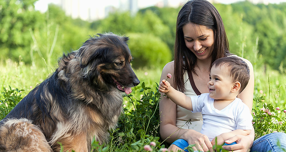 Mor og barn med hund i gresset